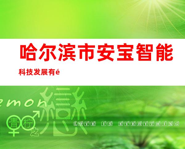 哈尔滨市安宝智能科技发展有限公司