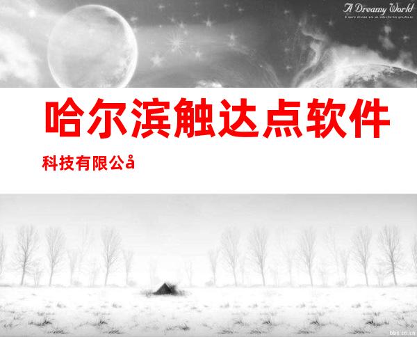 哈尔滨触达点软件科技有限公司