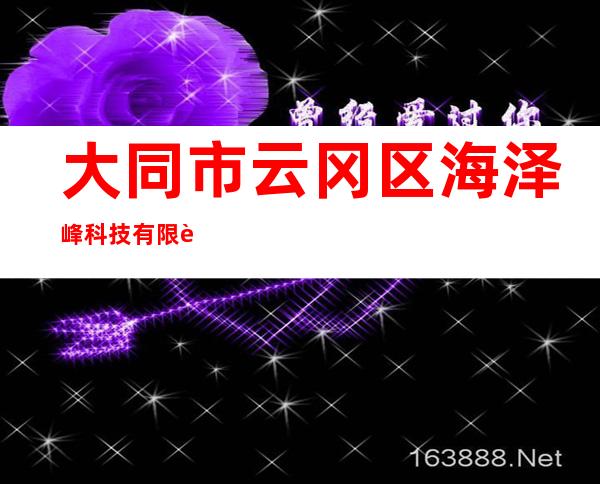 大同市云冈区海泽峰科技有限责任公司