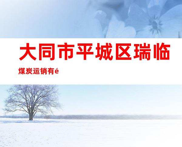 大同市平城区瑞临煤炭运销有限公司
