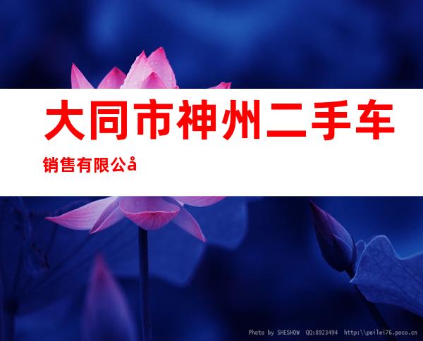 大同市神州二手车销售有限公司