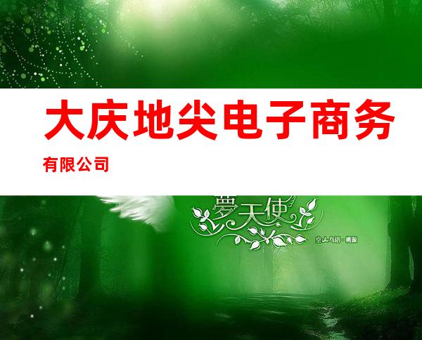大庆地尖电子商务有限公司