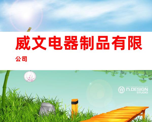 威文电器制品有限公司
