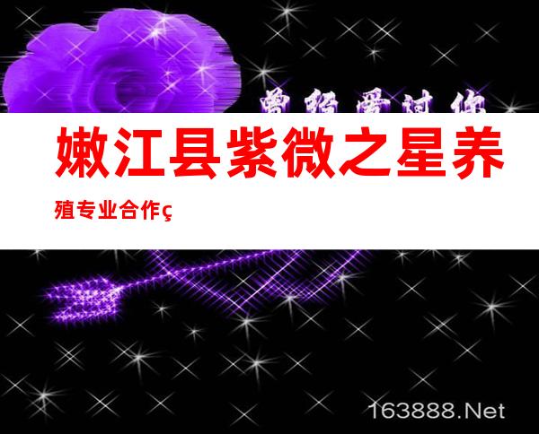 嫩江县紫微之星养殖专业合作社