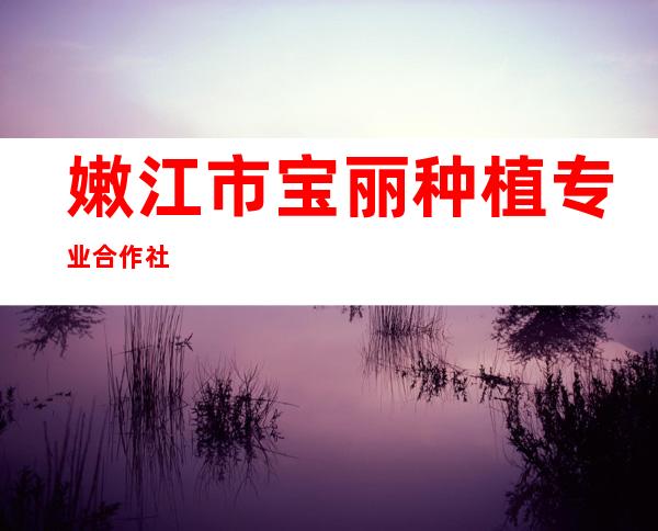 嫩江市宝丽种植专业合作社