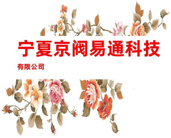 宁夏京阀易通科技有限公司