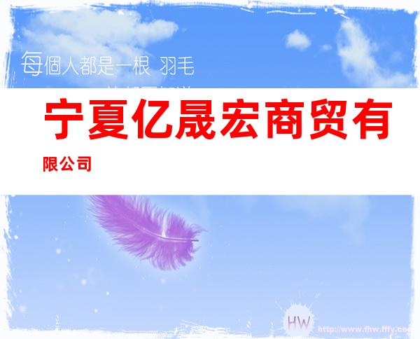 宁夏亿晟宏商贸有限公司