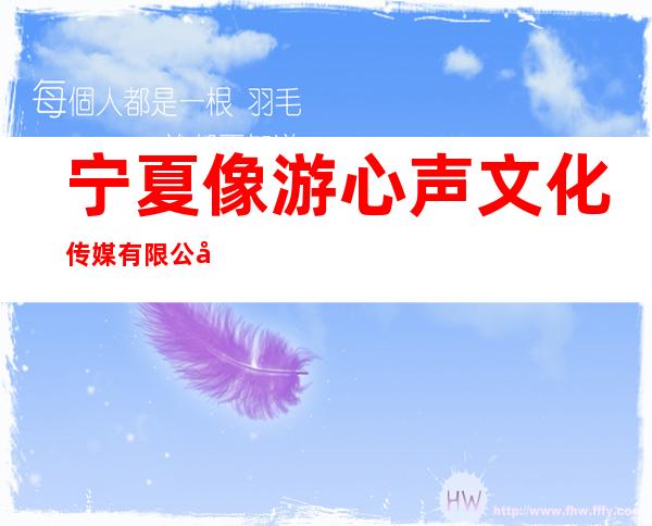 宁夏像游心声文化传媒有限公司