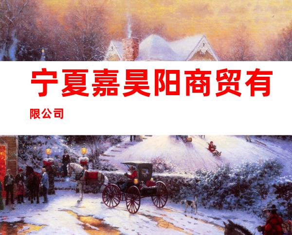 宁夏嘉昊阳商贸有限公司