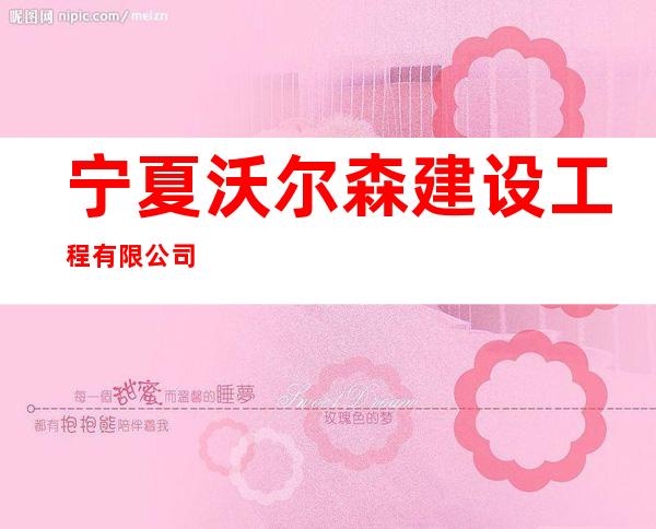 宁夏沃尔森建设工程有限公司