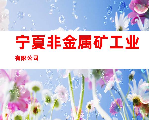 宁夏非金属矿工业有限公司