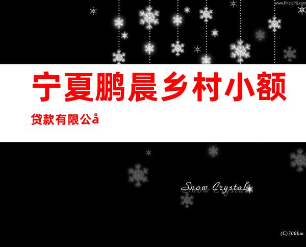 宁夏鹏晨乡村小额贷款有限公司灵武办事处