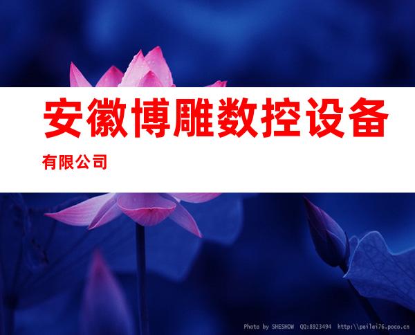 安徽博雕数控设备有限公司