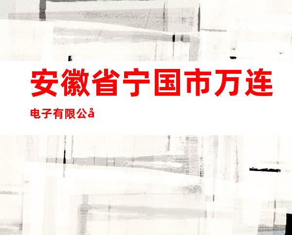 安徽省宁国市万连电子有限公司