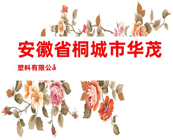 安徽省桐城市华茂塑料有限公司