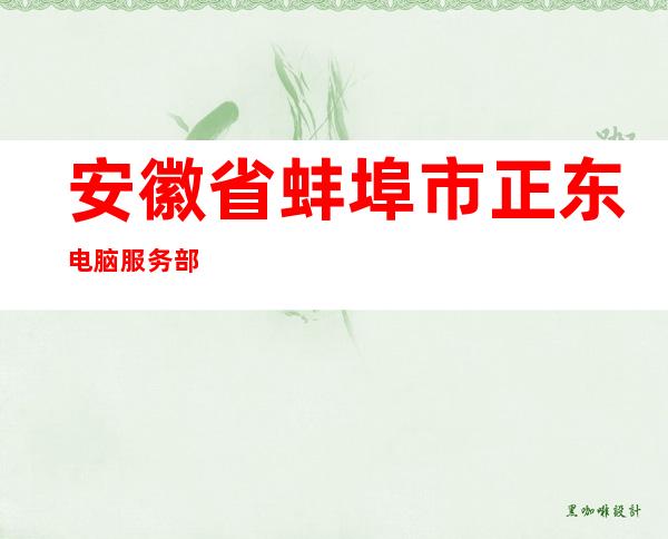 安徽省蚌埠市正东电脑服务部