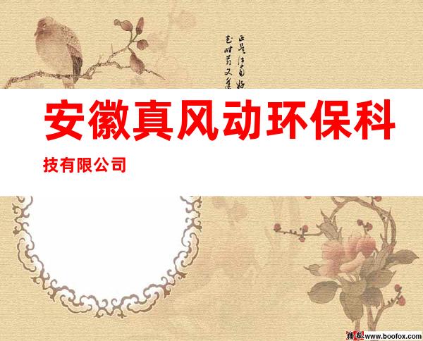 安徽真风动环保科技有限公司
