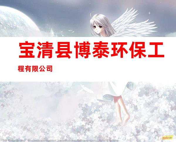 宝清县博泰环保工程有限公司