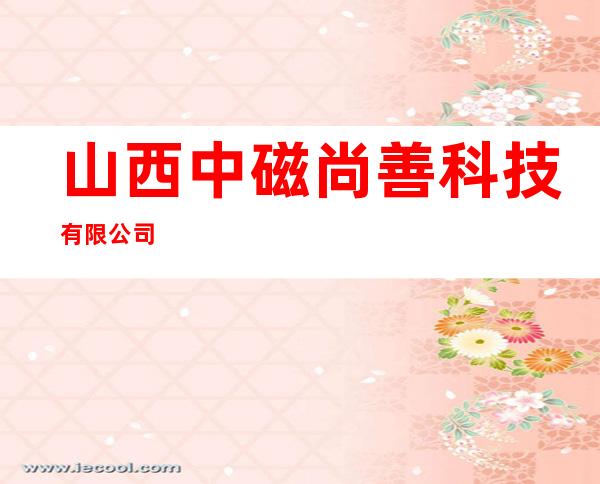 山西中磁尚善科技有限公司
