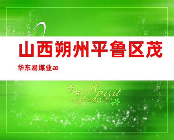 山西朔州平鲁区茂华东易煤业有限公司