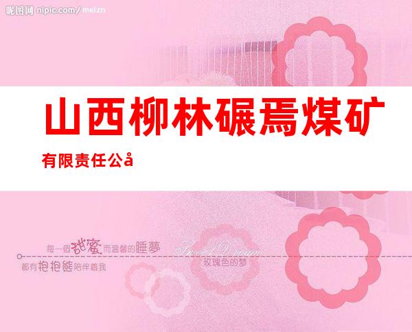 山西柳林碾焉煤矿有限责任公司