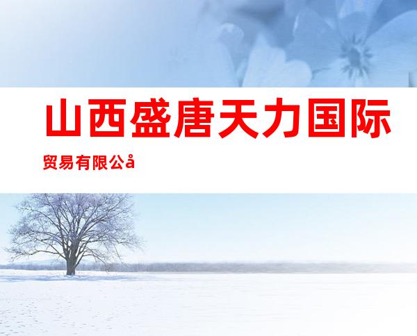 山西盛唐天力国际贸易有限公司