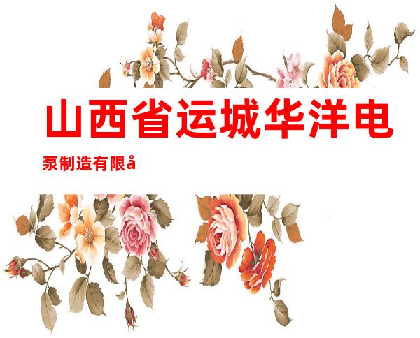 山西省运城华洋电泵制造有限公司