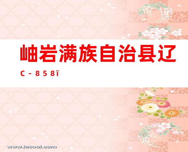 岫岩满族自治县辽Ｃ－８５８３２