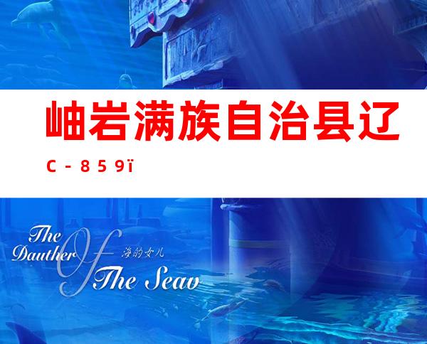 岫岩满族自治县辽Ｃ－８５９２６