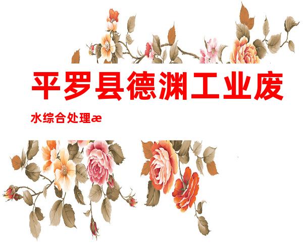 平罗县德渊工业废水综合处理有限公司