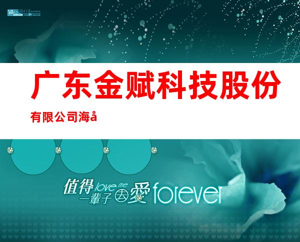 广东金赋科技股份有限公司海南分公司