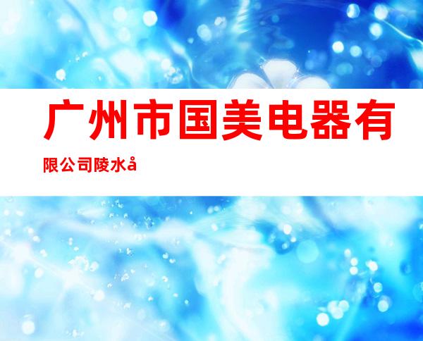 广州市国美电器有限公司陵水分公司