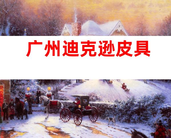 广州迪克逊皮具
