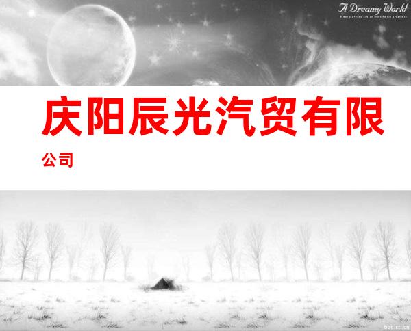 庆阳辰光汽贸有限公司