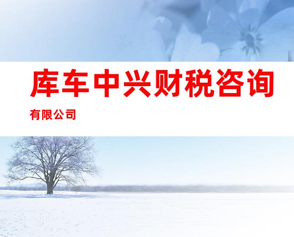 库车中兴财税咨询有限公司