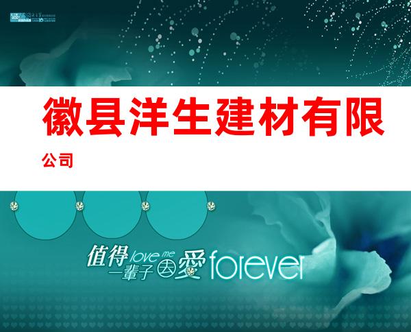 徽县洋生建材有限公司