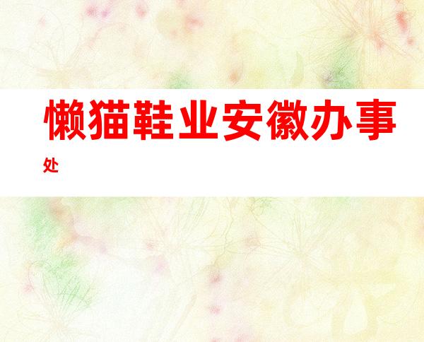 懒猫鞋业安徽办事处