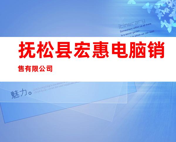 抚松县宏惠电脑销售有限公司