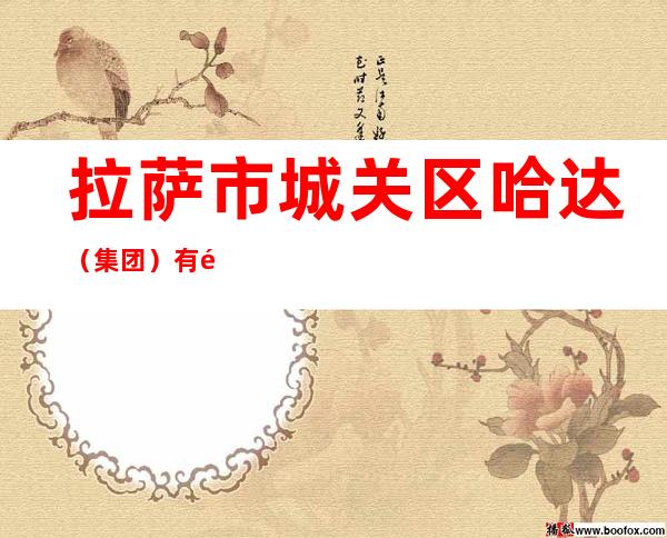 拉萨市城关区哈达(集团)有限公司建筑装饰分公司