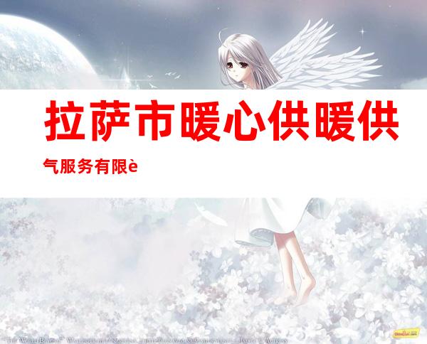 拉萨市暖心供暖供气服务有限责任公司