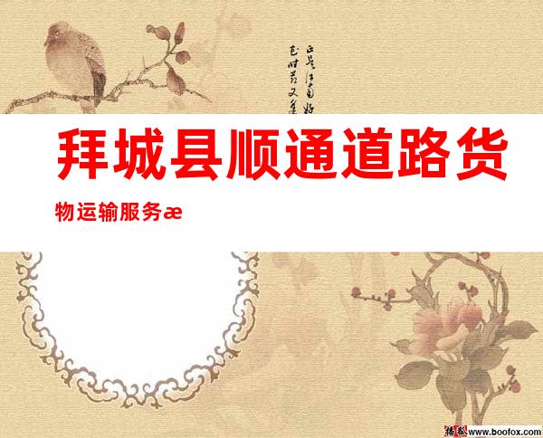 拜城县顺通道路货物运输服务有限责任公司