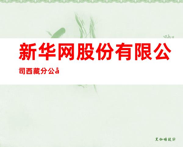 新华网股份有限公司西藏分公司