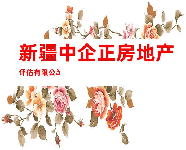 新疆中企正房地产评估有限公司