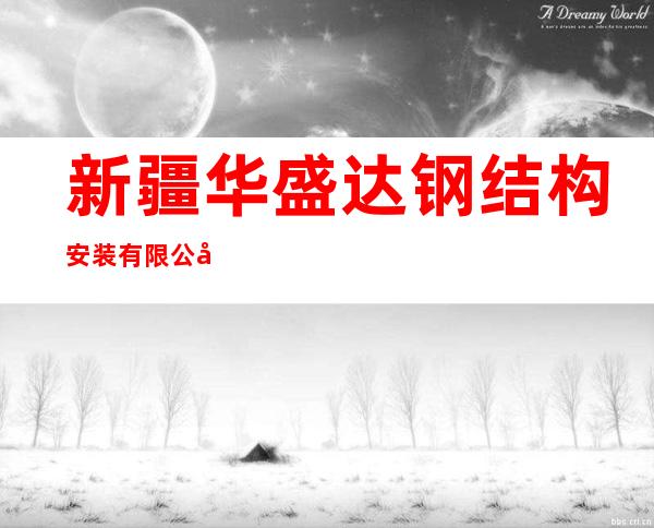 新疆华盛达钢结构安装有限公司