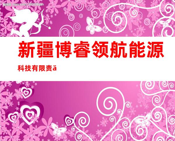 新疆博睿领航能源科技有限责任公司