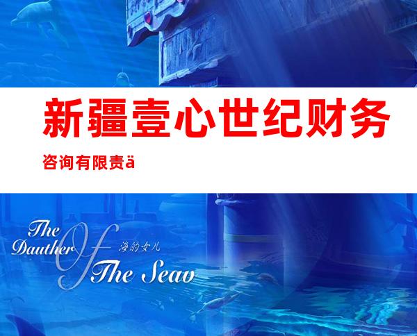 新疆壹心世纪财务咨询有限责任公司