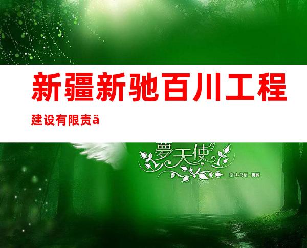 新疆新驰百川工程建设有限责任公司