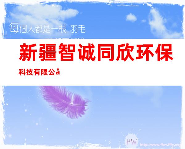 新疆智诚同欣环保科技有限公司