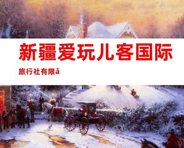 新疆爱玩儿客国际旅行社有限公司