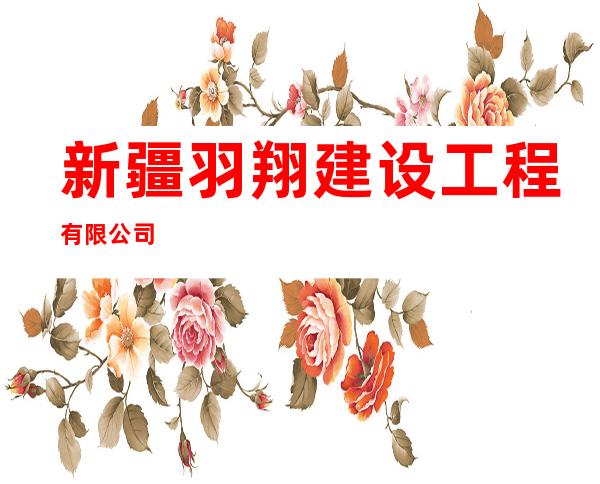 新疆羽翔建设工程有限公司